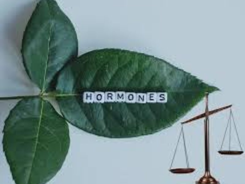 Hormone replacement therapy